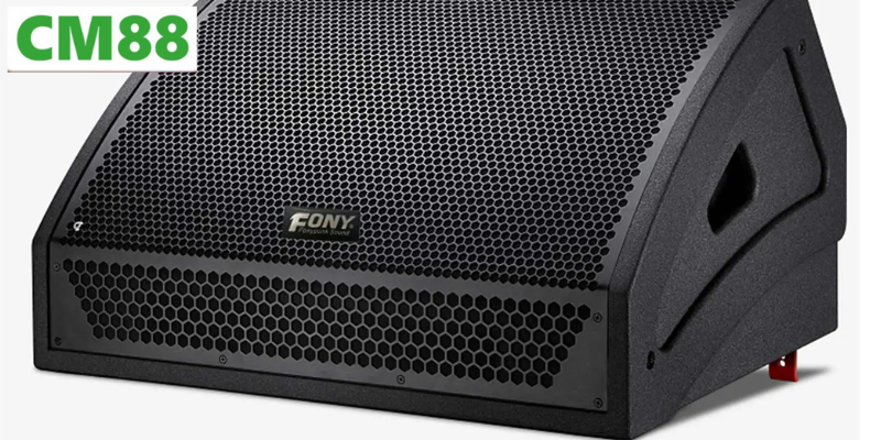 Giới thiệu tổng quan về loa sub SUIM CM88
